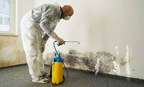 Why You Should Choose Our Mold Remediation Services in Marianna, FL